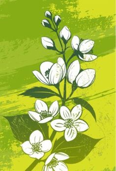 10 jasmine tattoo ideas | jasmine tattoo, jasmine flower, jasmine flower  tattoos