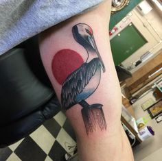 30 Pelican ideas | pelican tattoo, pelican, pelican art
