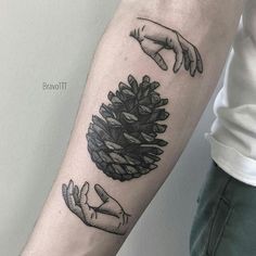 Discover 8 pines and pinecone tattoo ideas | tattoo designs, tattoos,  nature tattoos and more