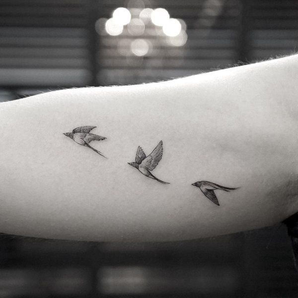 100+ Lovely Swallow Tattoos with Meaning | Art and Design