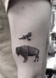 30 Tattoo Ideas | bison tattoo, buffalo tattoo, buffalo art