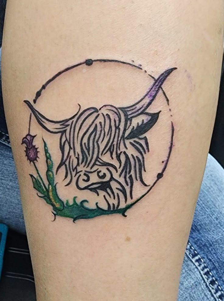 Highland cow tattoo