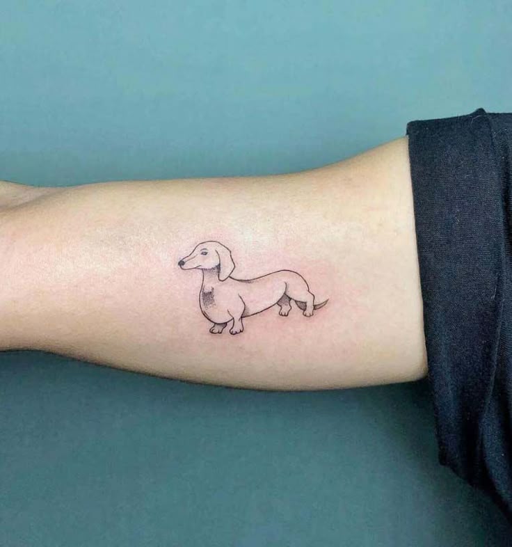 20 Simple Dachshund Outline Tattoo Ideas