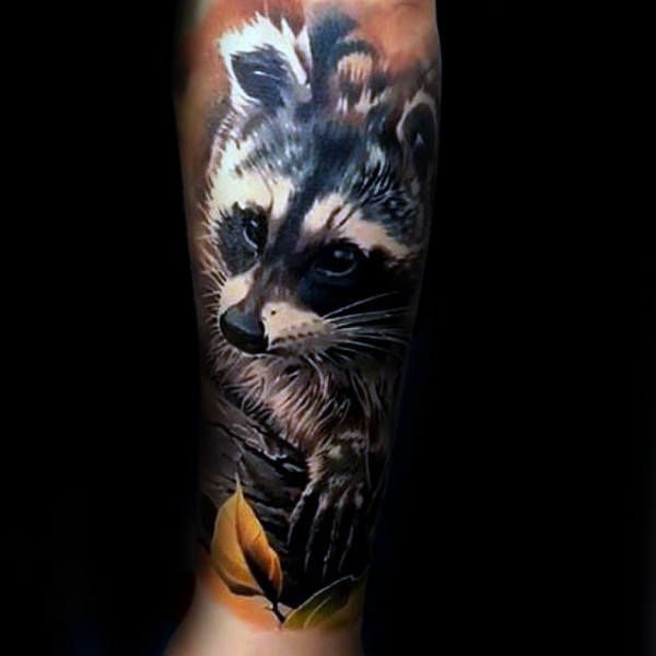 80 Raccoon Tattoo Designs for Men
