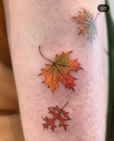 Discover 190 Maple Leaf Tattoos and Fall Leaves Tattoo Ideas | autumn tattoo, leaf drawing, fall watercolor and more