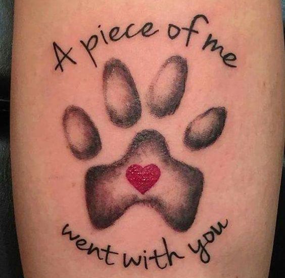 12+ Best Basset Hound Tattoo Ideas - The Paws