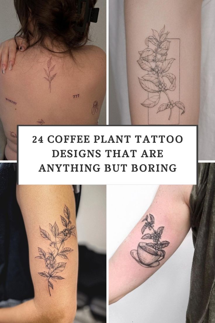 24 Coffee Plant Tattoo Designs That Are Anything But Boring
