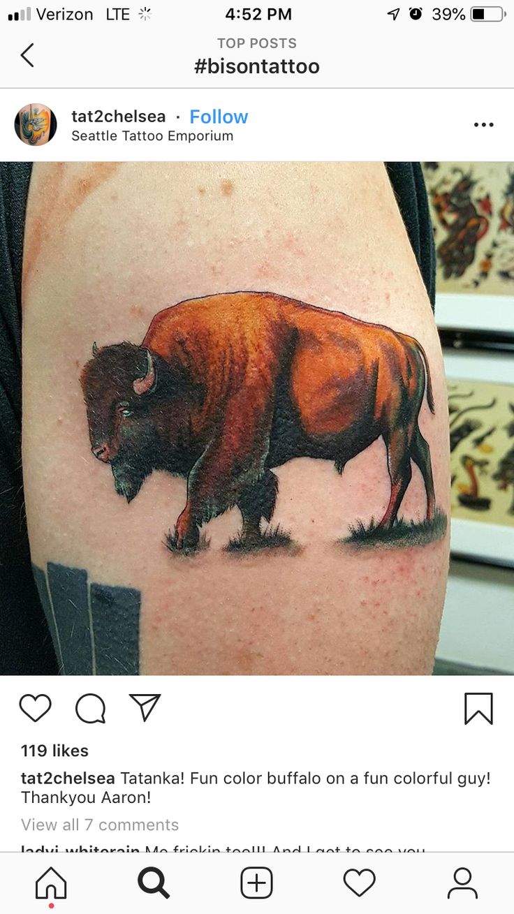 28 Bison Tattoo Ideas | bison tattoo, bison, american bison