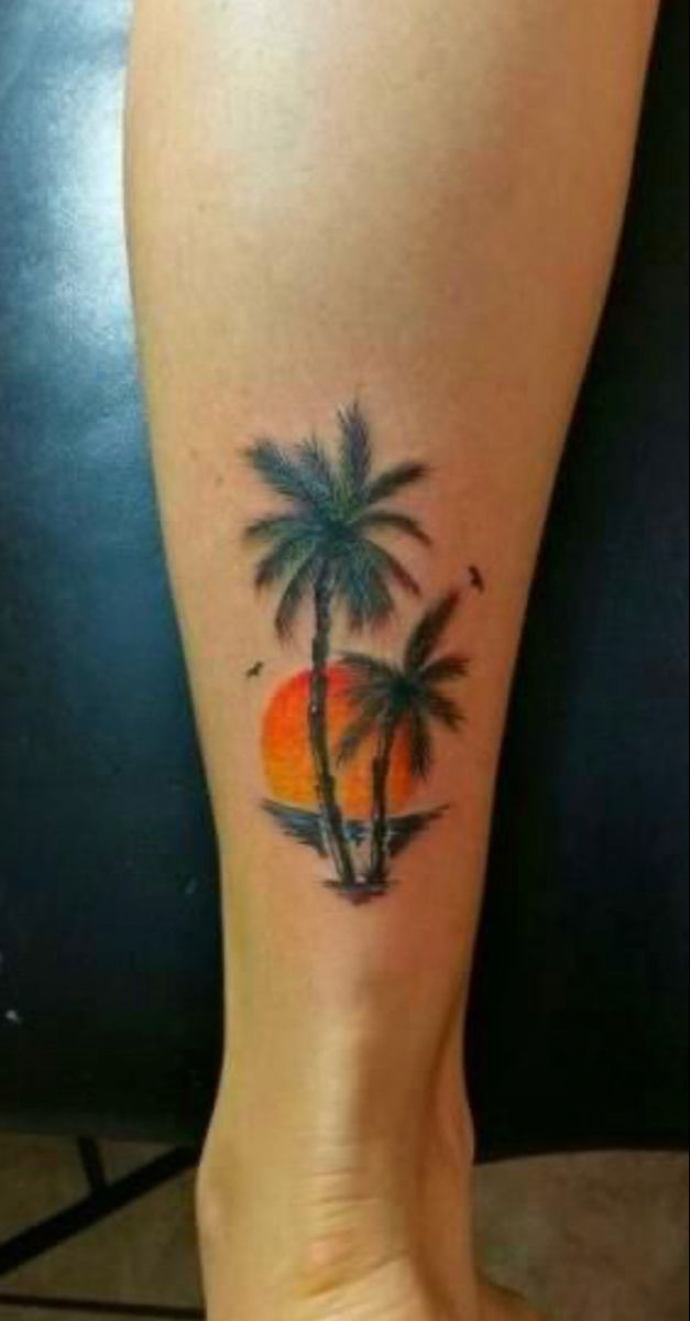 Sunset palm tree