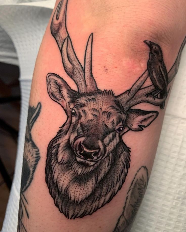 Elk Tattoo, elk tattoo ideas, geometric elk tattoo, simple elk tattoo,  traditional elk tattoo
