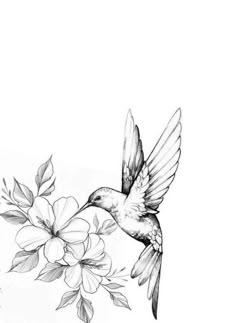 350 Best Hummingbird flower tattoos ideas | tattoos, hummingbird tattoo, hummingbird flower tattoos