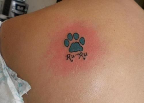 30+ Creative Paw Print Tattoo Designs with Meanings