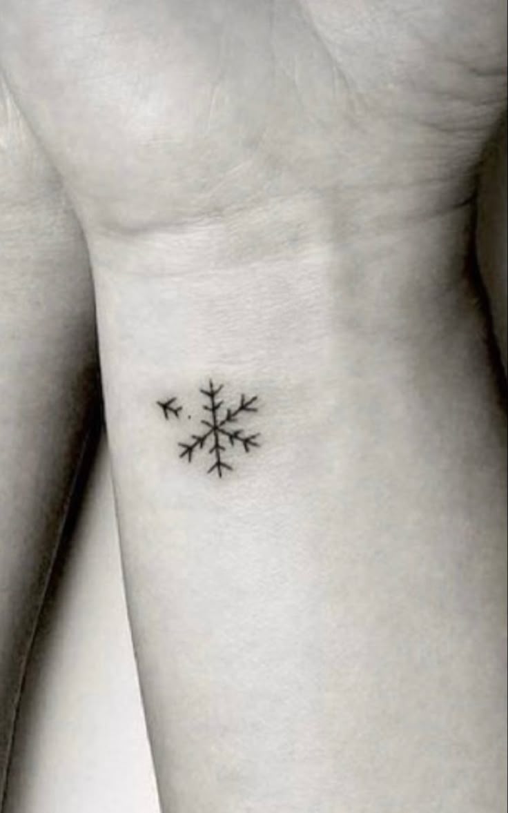 Plane snowflake