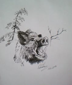 27 Hog tat ideas | wild boar, boar, wild hog