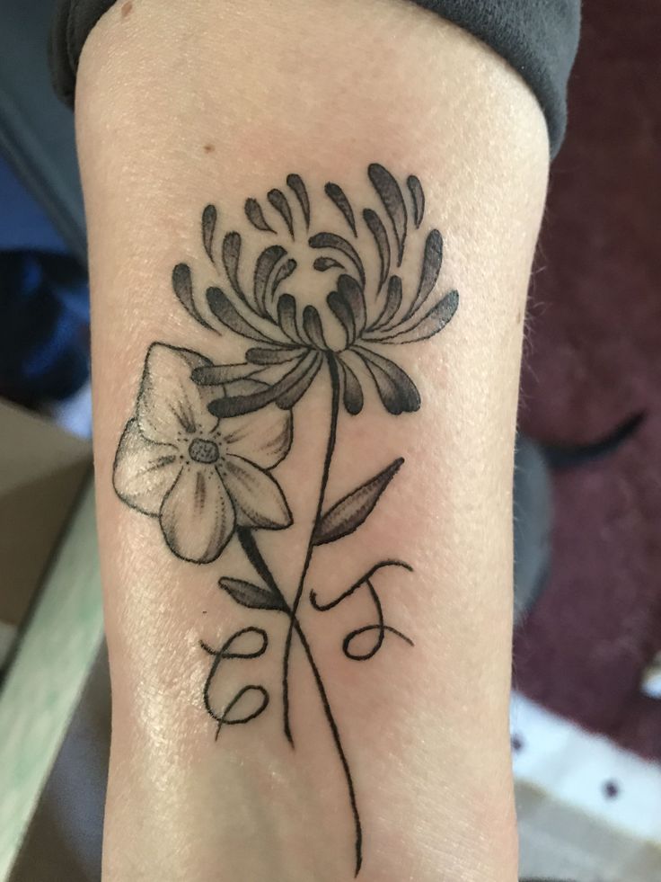 February and November birth flower for my daughters ...