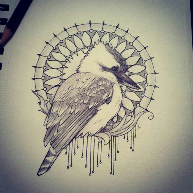 11 Kookaburras ideas | australia tattoo, australian tattoo, birds tattoo