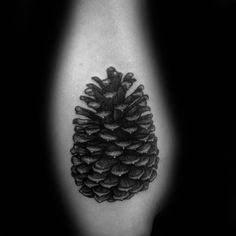 Discover 38 Pinecone Tattoo and Pine Tattoo Ideas | branch tattoo, tree  branch tattoo, lodgepole pine tattoo and more