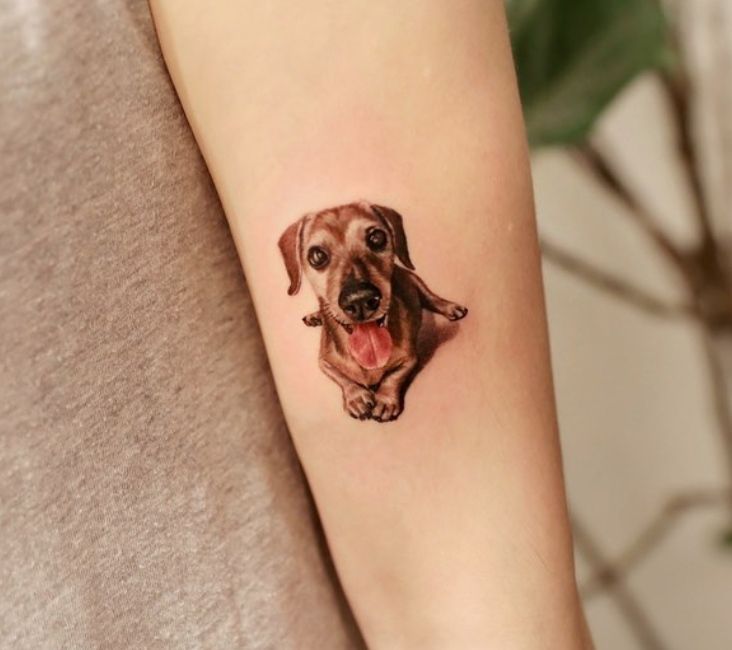 18 Best Dachshund Tattoo Ideas