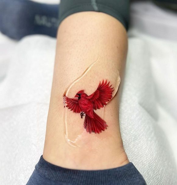 15+ Cardinal Tattoo Designs to Symbolize Love and Hope