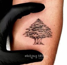 Discover 8 Cedar Tattoos and Lebanon Tattoo Ideas | lebanese flag tattoo,  beirut tattoo ideas, banff inspired tattoo and more