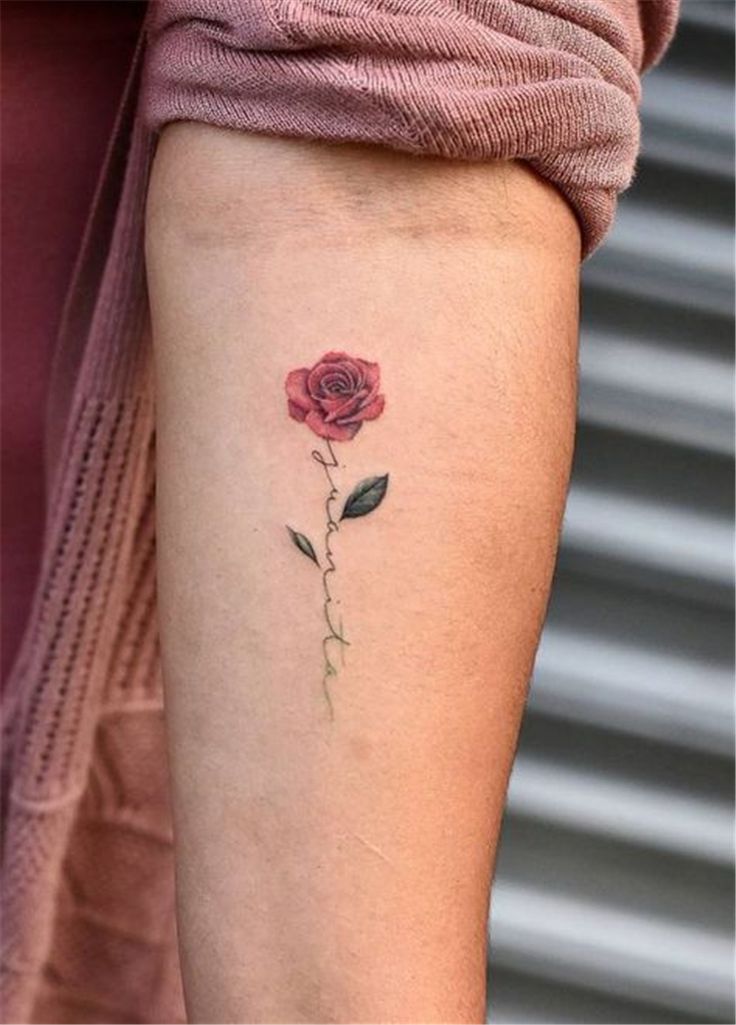 roses