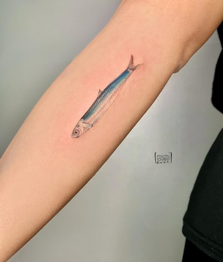 Anchovy Fish Tattoo, Simple Anchovy Fish Tattoo, Small Anchovy Fish Tattoo,  anchovy fish tattoo idea