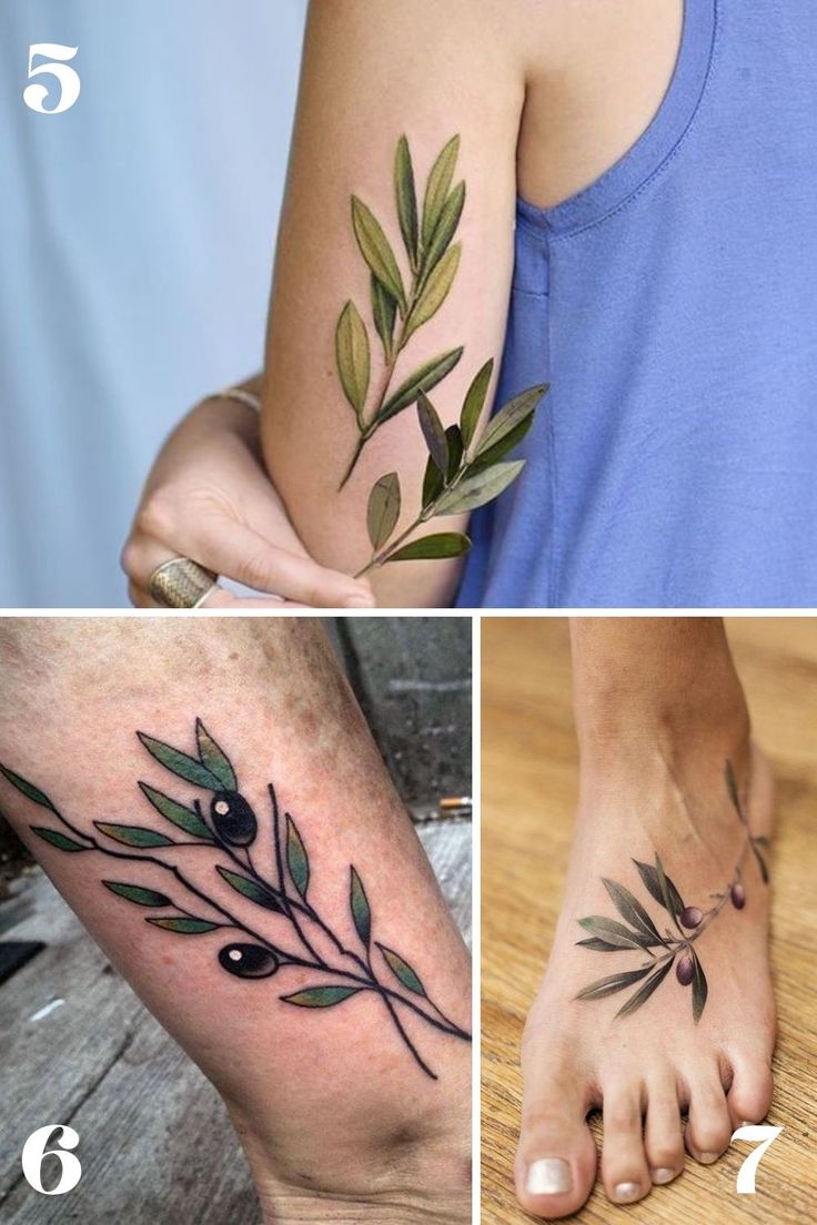 Color Olive Branch | Olive branch tattoo, Branch tattoo, Tattoos