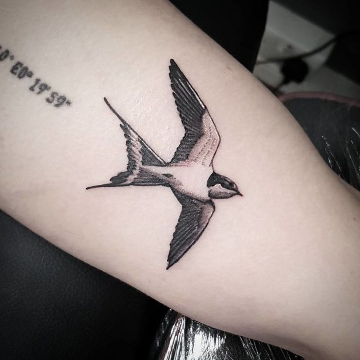 15 Meaningful Swallow Tattoo Ideas For Men & Women