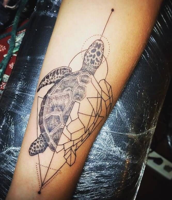 Top 60 Best Turtle Tattoo Designs