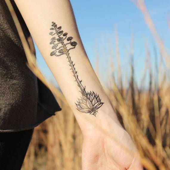 One dark black line temporary tattoo design of a magnificent blooming agave, a.k.a. the century plant! The agave appears to be plucked right from the desert, with short roots dangling beneath. A