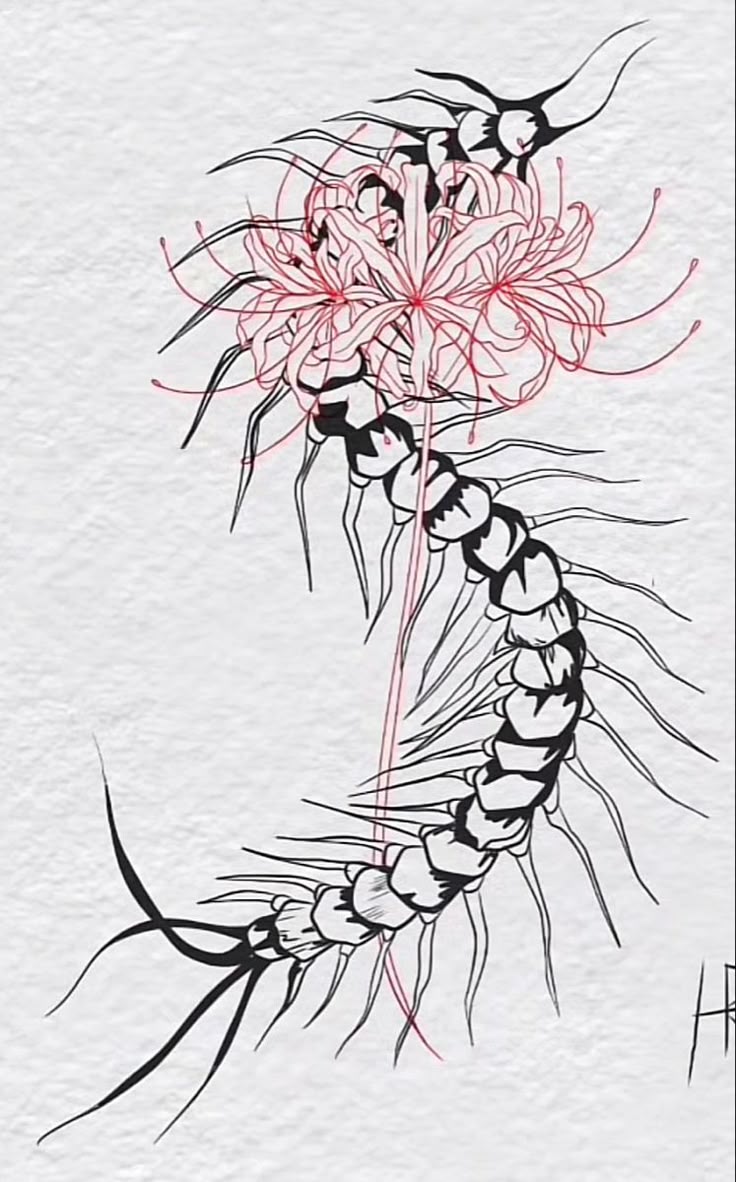 Пин от пользователя Genevieve Shipe на доске Tattoo ideas | Узоры  татуировок, Винтажные татуировки, Ретро татуировки