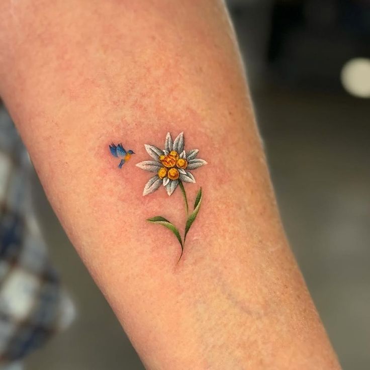 Aspired Vision Tattoos & Piercings | Done by @thevillagedeviant Tiny  Edelweiss flower 🤍 • Tap link in bio for a quote! • #elpaso #ep #915  #tattooartist #tattoo #microrealism... | Instagram
