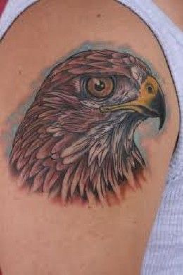 Hawk Tattoos And Meanings-Hawk Tattoo Designs And Ideas-Hawk Tattoo Pictures