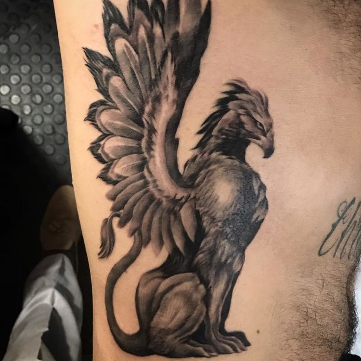101 Amazing Griffin Tattoo Ideas You Need To See!