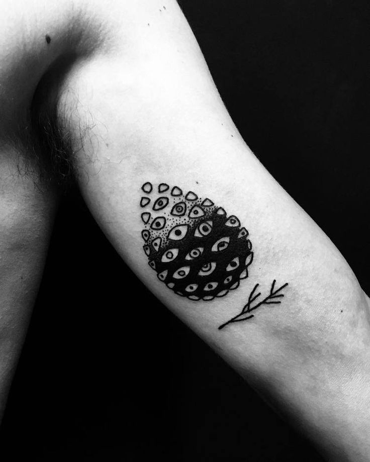 30 Pine Cone Tattoo Designs To Celebrate Beauty of Nature | TattooAdore