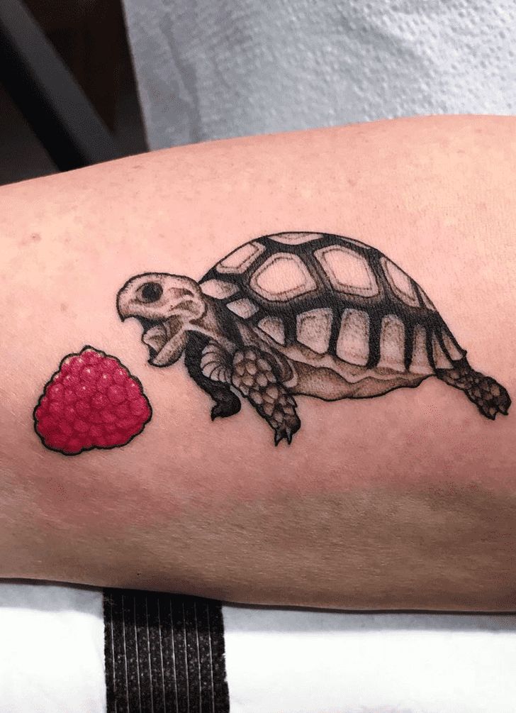 Tortoise Tattoo Design Ideas Images