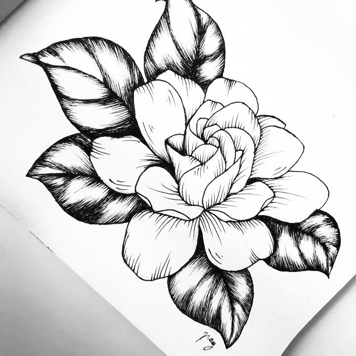 Nahiely Velazquez on Instagram: ".: Gardenia :. . Here's a process video of this lovely flower. Did you… | Tatuaje de gardenia, Tatuaje de jazmín, Hermosos tatuajes