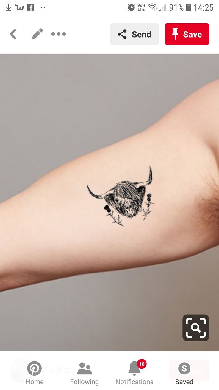 Pin by Nicole Marie on Tattoos | Cow tattoo, Cute tiny tattoos, Tiny tattoos