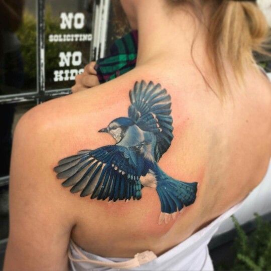Blue jay tattoo Truth and Triumph Dayton Oh Daniil