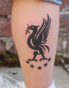 25 tattoo ideas in 2025 | liverpool tattoo, lfc tattoo, liverpool fc tattoo