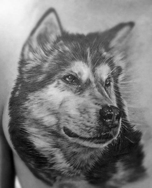 80 Epic Siberian Husky Tattoo Designs for Men
