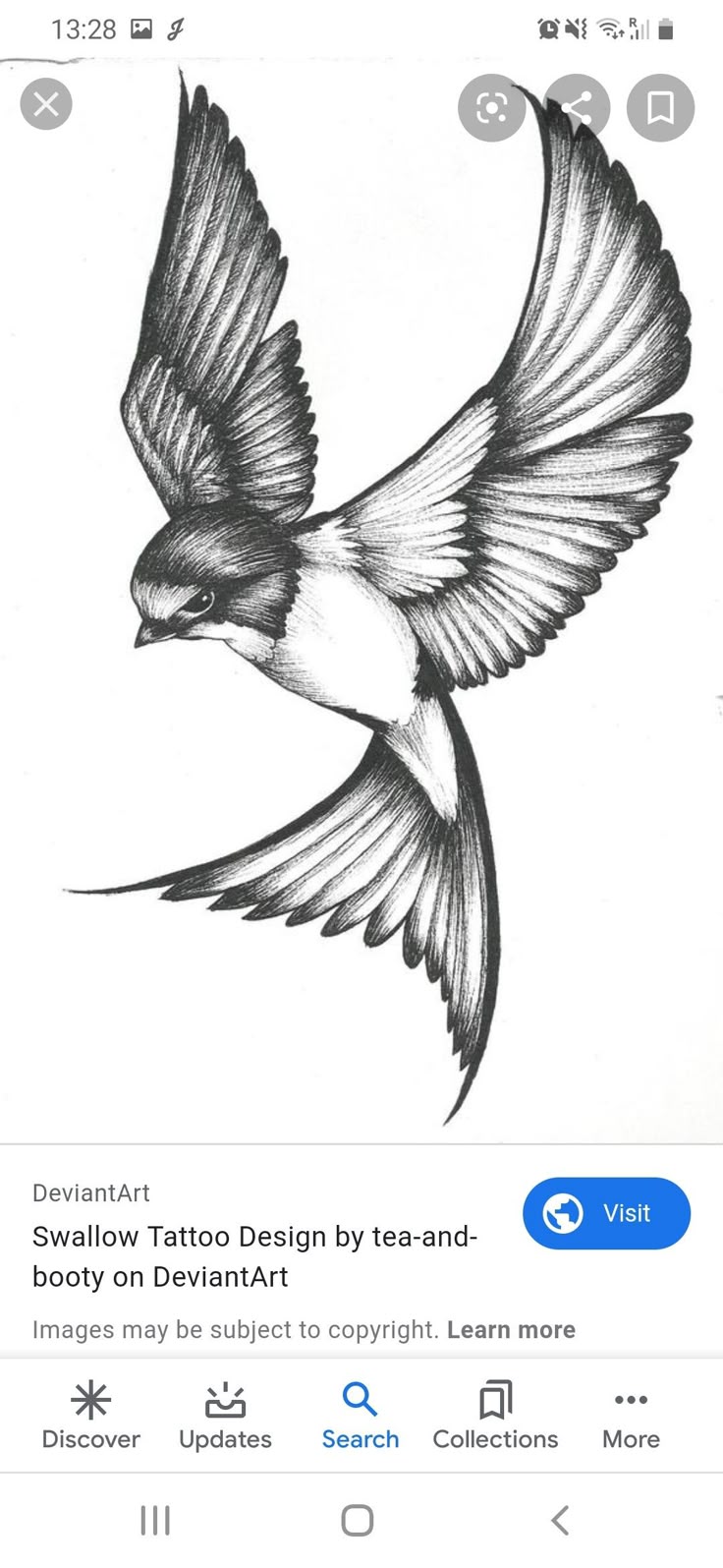 Swallow tattoo