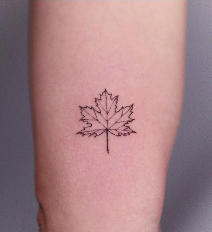 Simple & Small Maple Leaf Tattoo Designs: 41 Best Maple Leaf Tattoo Designs That Will Blow Your...