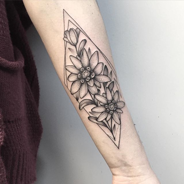 47 Edelweiss tattoo ideas | edelweiss tattoo, edelweiss, tattoos
