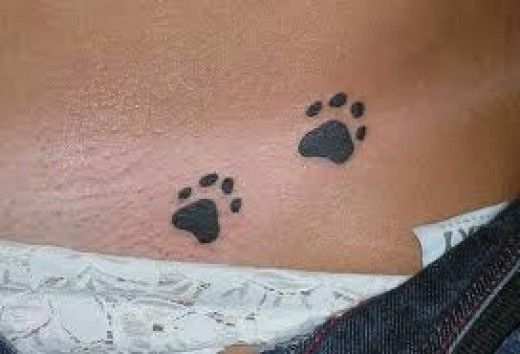 Paw Print Tattoos And Paw Print Tattoo Designs; Paw Print Tattoo Meanings  And Ideas