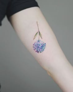 Discover 42 Hydrangea Tattoo and Watercolor Hydrangea Ideas | blue hydrangea  tattoo, lilac tattoo, hydrangea painting and more