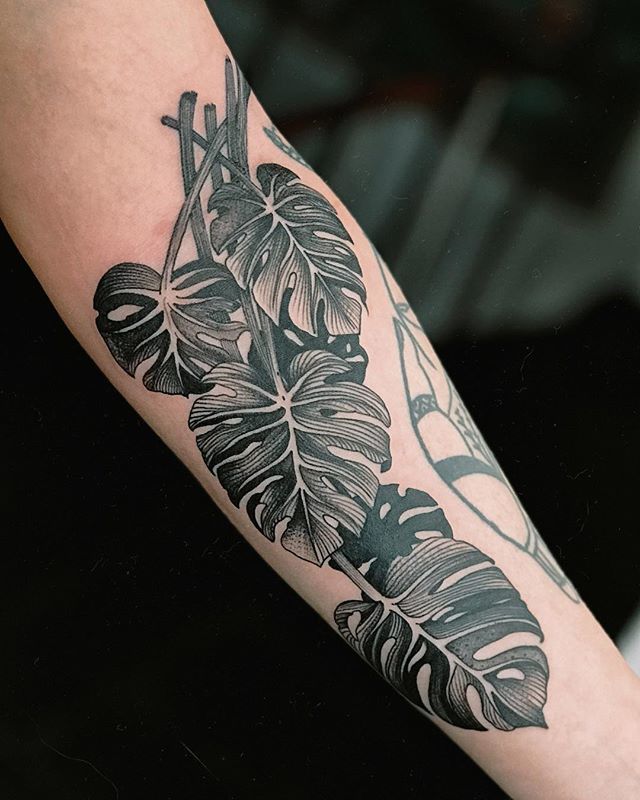 super monstera tatoo