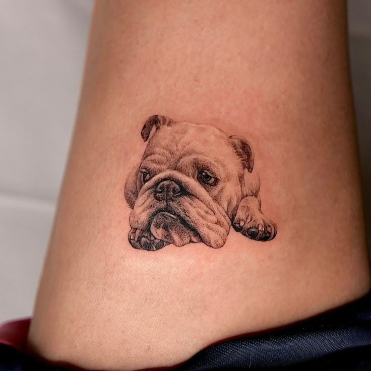 Bull Dog Tattoo, french bulldog tattoo, english bulldog tattoo, traditional bulldog  tattoo