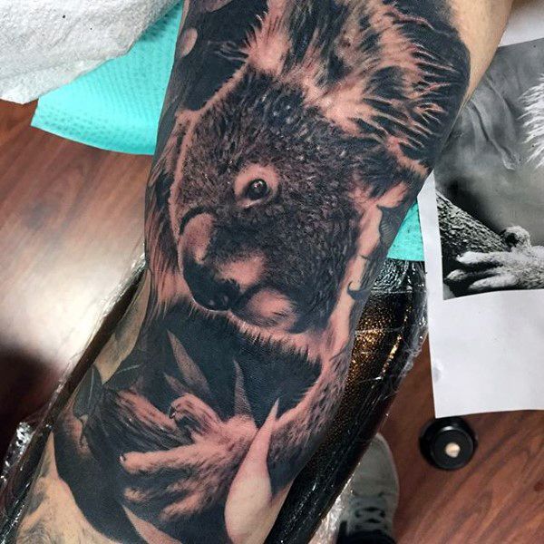 30 Koala Tattoo Designs for Men