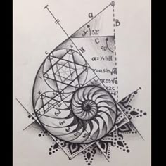 11 Fibonacci tattoo ideas | fibonacci tattoo, spiral tattoos, fibonacci